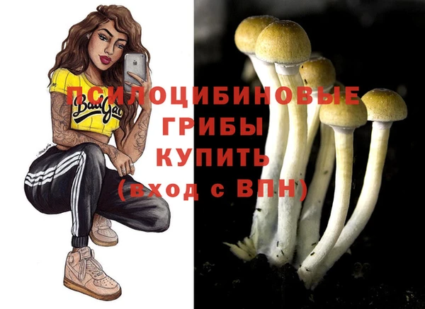 скорость Абинск