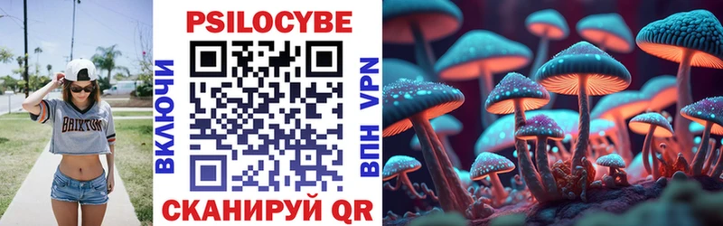 наркошоп  Кириллов  Галлюциногенные грибы Psilocybe 